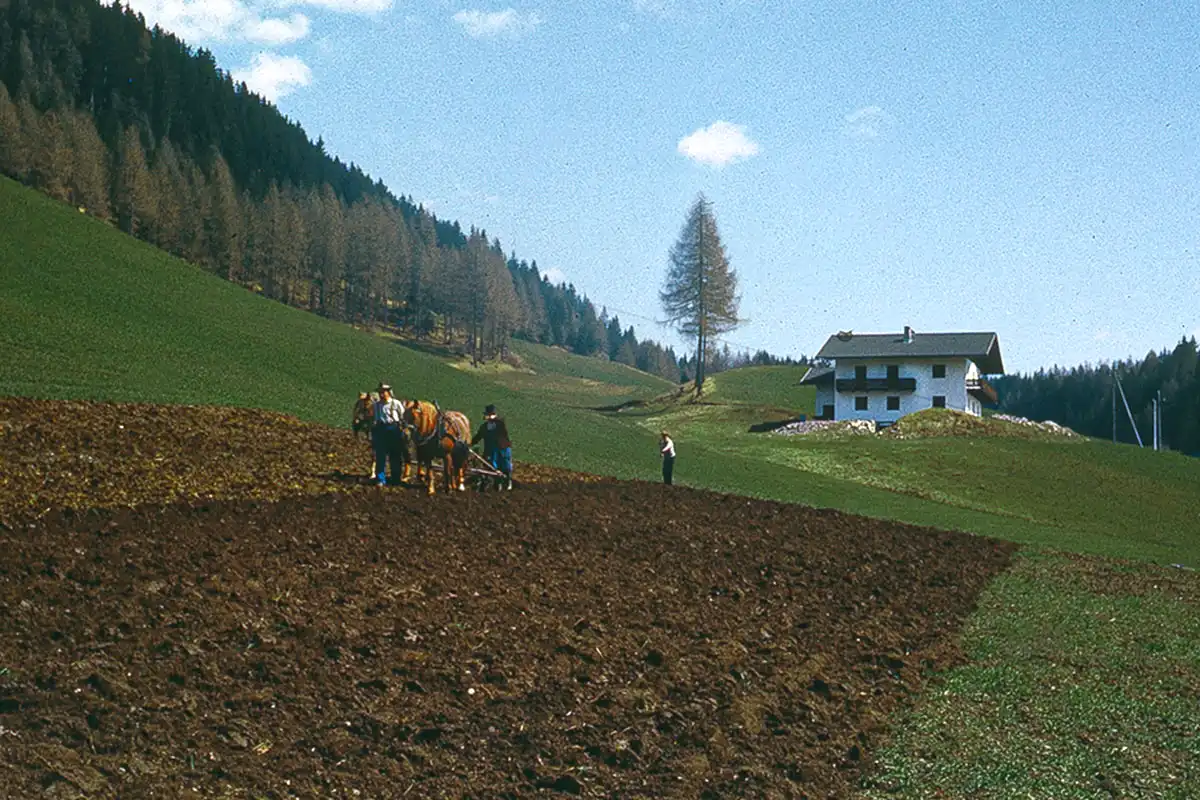 Feldarbeit früher